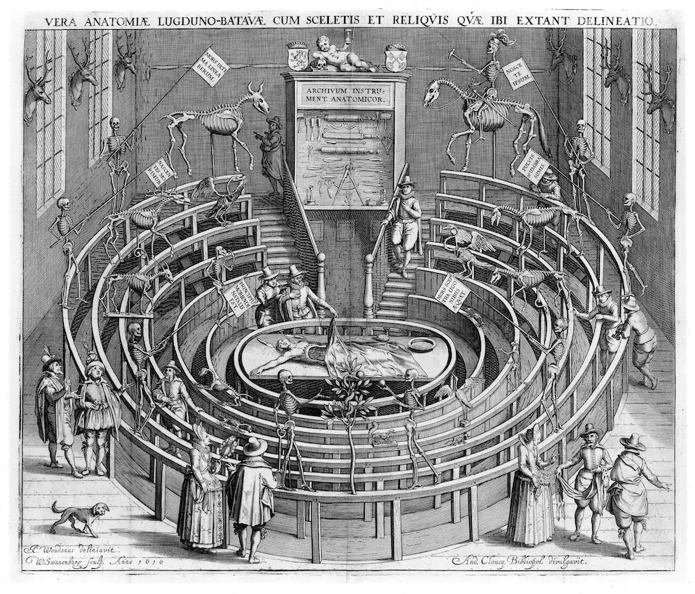 Anatomical theatre Leiden 1610